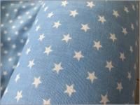 ڥ֥륬 ϡۥ*֥롼*10A