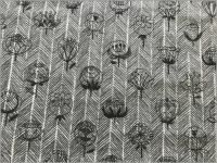 ڥ֥륬 ϡإܥ&*black*201C