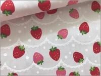 CB ϡåץ졼ץ*white*1A