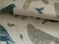 㥭Х ϡhumming bird*Ļ*ϡեͥ*2A