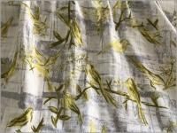 ڥ֥륬 ϡTrefle*ĻȳʻҼ*mustard*1B