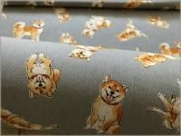 㥭Х ϡۼƸ*gray*2E