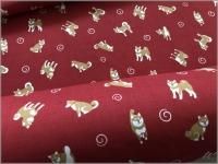 ڥ ϡۼƸ*ޤ*ĴPt*red*1C