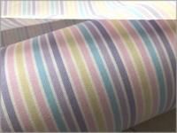 ڥ ϡۥե륹ȥ饤*pastel*2D