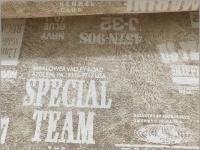 10å ϡۥ쥶žץ*ѻ**beige*2D