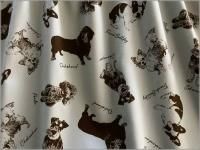 ڥå ϡ۸*ѻ*ץ*gray*B3