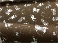 ڥå ϡ۸*ѻ*ץ*chocolate*B4