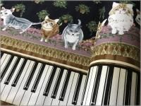 ڥå ϡۥԥθ*ͥ*Reminiscence*black*402D