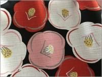 ڥɥӡ ϡ*ĤФ*¥*black*2D