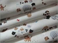 CBݥץ ϡۥͥǭ*off white*2A