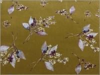 ڥǥ ϡۥĥ*momen-t**mustard*A1 