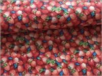 ڥå ϡۥꥢ***ե롼*blue*20C