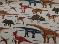 ڥĥ ϡ۶ε*礦夦*dinosaur*gray*36C