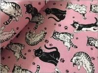 ڥ ϡǭͤ*ˤˤPARTY*pink*B2