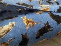 �ڥ������� ���ϡۥͥ�*ǭ*�ꥢ��ץ���*blue*F1