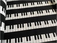 �ڥ��å��� ���ϡۥԥ���*����*black white*1A