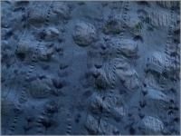 80 ϡۥåץ**¥ե꡼*131D