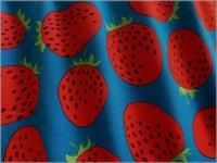 �ڥ��å��� ���ϡۤ������ʥ�����*����*turquoise*77C