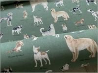 �����㥭���Х� ���ϡ۸�*��������*green*1C