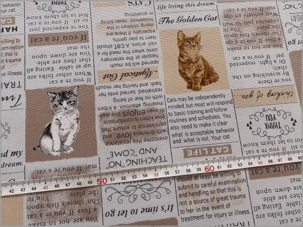 シルクスクリーン 猫「Pink news paper」 シルクスクリーン 猫「Pink news paper」