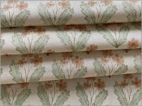 �ڥ����� ���ϡۥܥ��˥���*natural apricot*A1