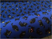 【オックス 生地】黒猫*帽子ネコ*royal blue*1E