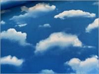 ڥå ϡ۱**ꥢץ*sky blue*1B