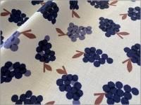 �����㥭���Х� ���ϡ��̲������*�֤ɤ�*nokke*berry purple*A6