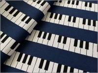 ڥå ϡ۸ץȥ饤*ԥ*navy*71E