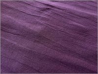 Ϥ 50cm㥿֥顼å㡼 ϡ̵*ù*purple*H18