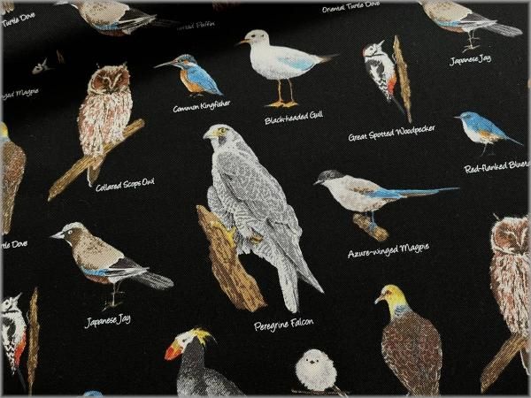 鳥　図鑑　洋書　アート　ハードカバー　ボタニカルアート　バード　図鑑　鳥類 鳥 図鑑 洋書 アート ハードカバー ボタニカルアート バード