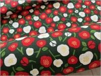 �ڥɥӡ� ���ϡ��¥����*��*�ĤФ�*green*2C