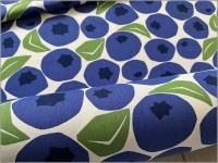 10Х ϡۤᤳ*֥롼٥꡼*ivory blue*53A