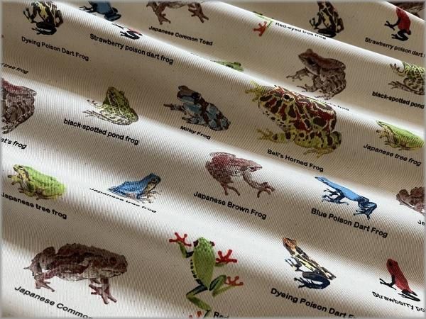 ツイル 生地】かえる図鑑*コットン*生成り*57A - 生地通販