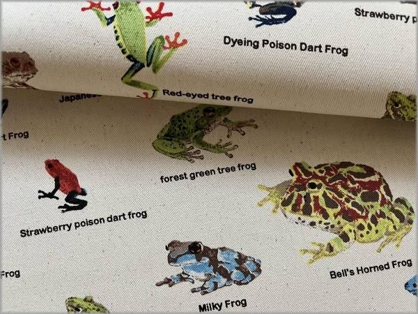 ツイル 生地】かえる図鑑*コットン*生成り*57A - 生地通販