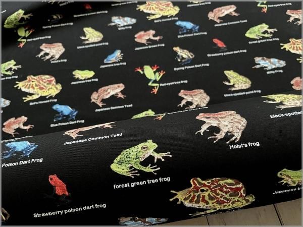 ツイル 生地】かえる図鑑*コットン*black*57F - 生地通販 マーブル
