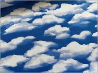 【オックス 生地】空×雲*転写風*リアルプリント*コットン*60C