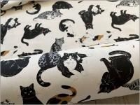 ڥå ϡǭ*ͥ**Ф*62B