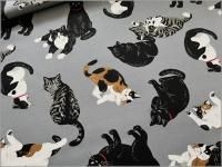 ڥå ϡǭ*ͥ*gray*62E