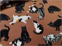 ڥå ϡǭ*ͥ*coffee brown*62F