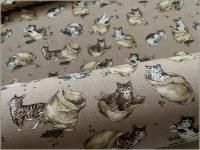 㥭Х ϡۥͥȥҡƦ*mocha*1B