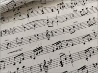 ڥå ϡ۸  åȥ off white 1A 