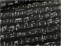 ڥå ϡ۸  åȥ black 1F