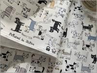 ��CB�ݥץ�� ���ϡ� �ͥ� ǭ vanilla milk 2A