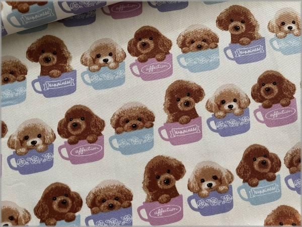 ストック生地　プードル オックス 生地】ティーカッププードル 犬 いぬ vanilla milk 4A - 生地