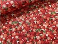 �ڥ��å��� ���ϡۥ��ȥ��٥꡼ �� ������ ivory 20D