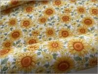 ڥԥ ϡ۸ ե Ҥޤ  white A1