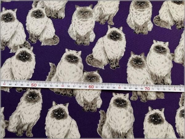 オックス 生地】ヒマラヤン 猫 ネコ violet A3 - 生地通販 マーブル