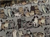 㥭Х ϡART CAT ͥ ǭܡ ͤ gray 1B