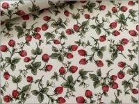 ڥĥ ϡۤ  ȥ٥꡼ ̢ åȥ󤳤Ф䤷 ivory 31A